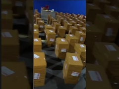 ビキニの保守的な女性の一つの水着に一致させるセクシーな一つの水着色